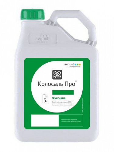 Колосаль Про